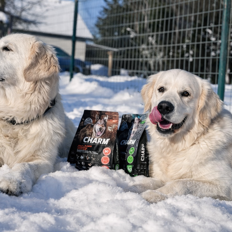 CHARM lemmikloomatoit – autentne toitumine, mis on inspireeritud loodusest