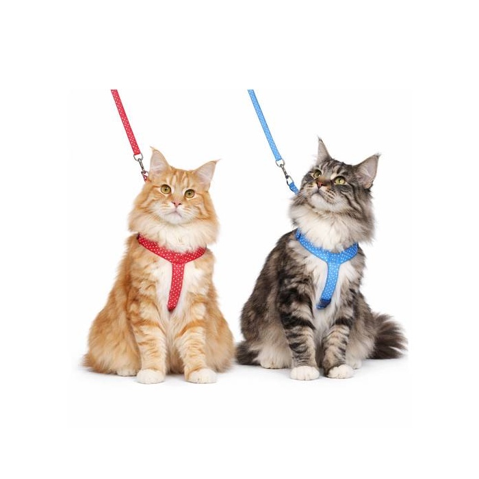 Flamingo Шлейка для большой кошки + поводок Aiwa