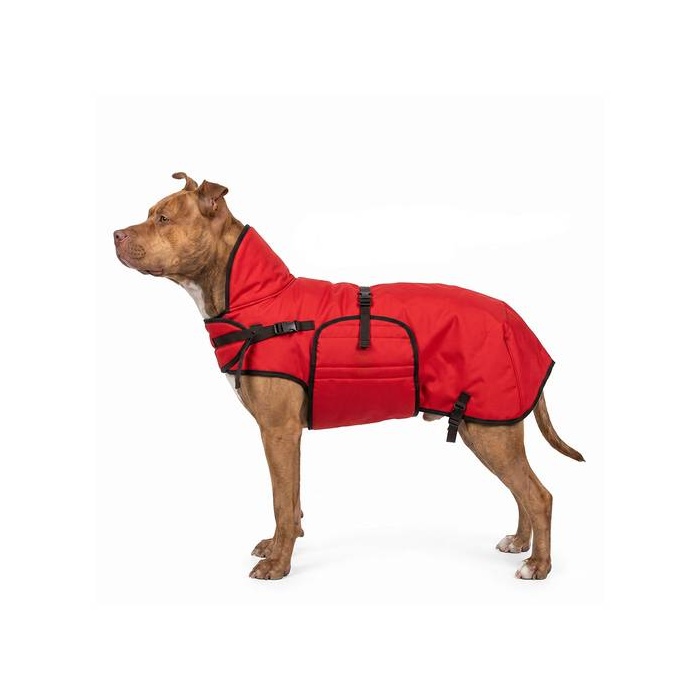 Zero Red Winter Coat for Dogs 60cm