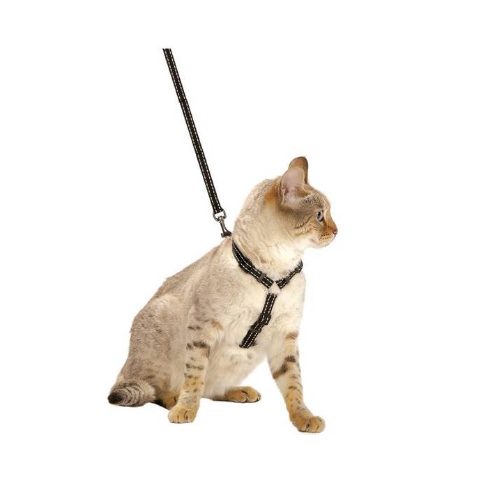 Bobby Cat Harness "Safe", Black 25-38cm