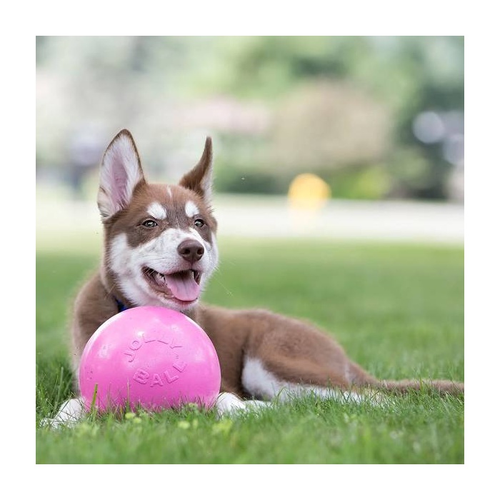 Jolly Pets Koera Mänguasi Bounce-n-Play, Helesinine Ø15cm (Ujub vees)