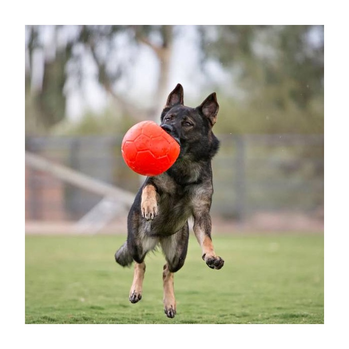 Koer mängib Jolly Pets Mänguasi Koerale Jalgpall