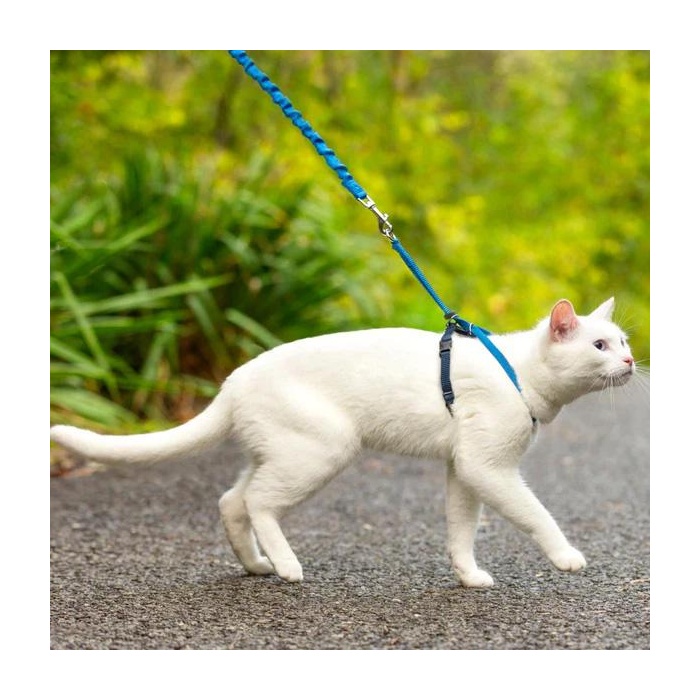 Petsafe Traksid Kassile Easy Walk, Sinine S