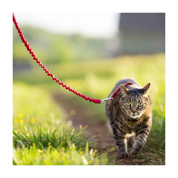Petsafe Traksid Kassile Easy Walk, Punane S 
