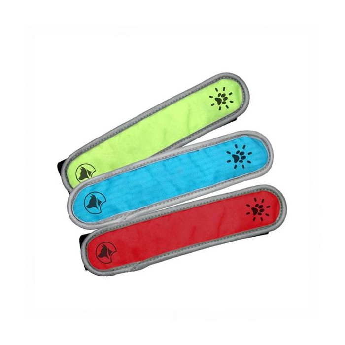 Croci LED Valgusriba Jalutusrihmale 4x16cm