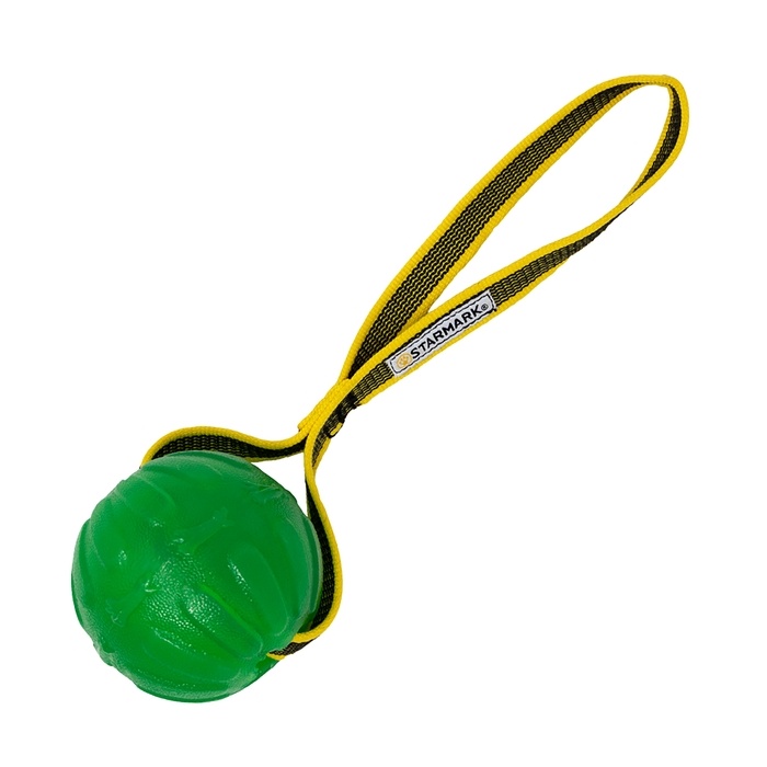 Starmark Mänguasi Koerale GripCord Chewball Sangaga M/L 90mm (Ujub vees)