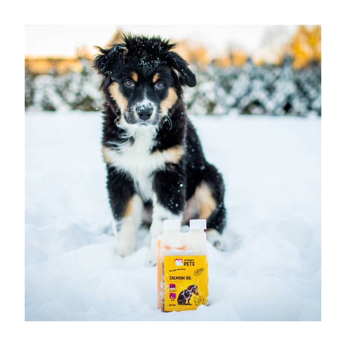 Excellent Pets Lõheõli Koerale 250 ml