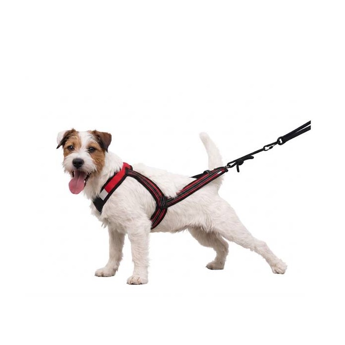 Zero DC šunų petnešos (kanikrosui / žygiams / dviračių vilkimui), „Faster“ raudonos SL