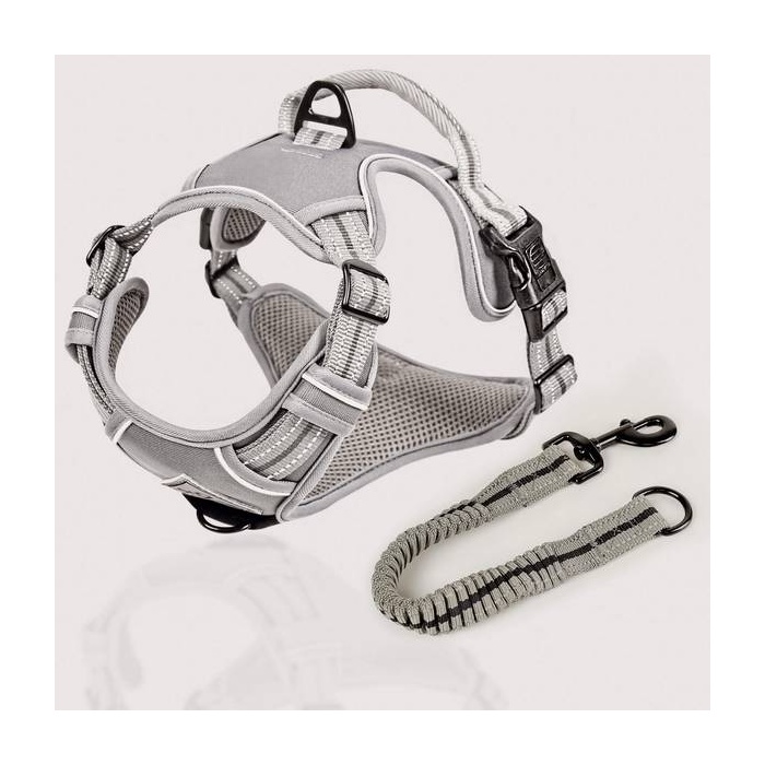 ne&no® Outdoor Dog Harness with Handle + Pull-Dampening Add-on Strap | S (Chihuahua, Miniature Pinscher, Pomeranian)