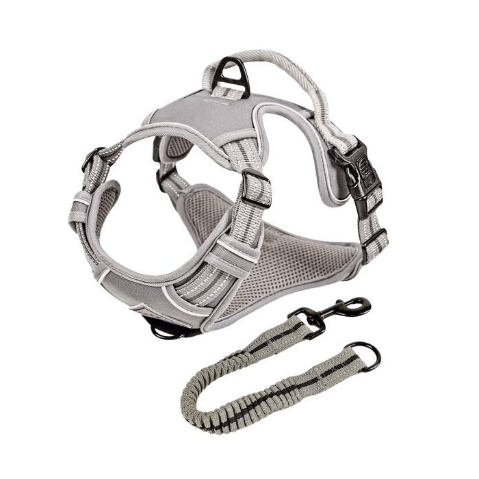 ne&no® Sangaga Traksid Koerale + Tõmbeid pehmendav lisarihm | XL (Amstaff, Pitbullterjer)