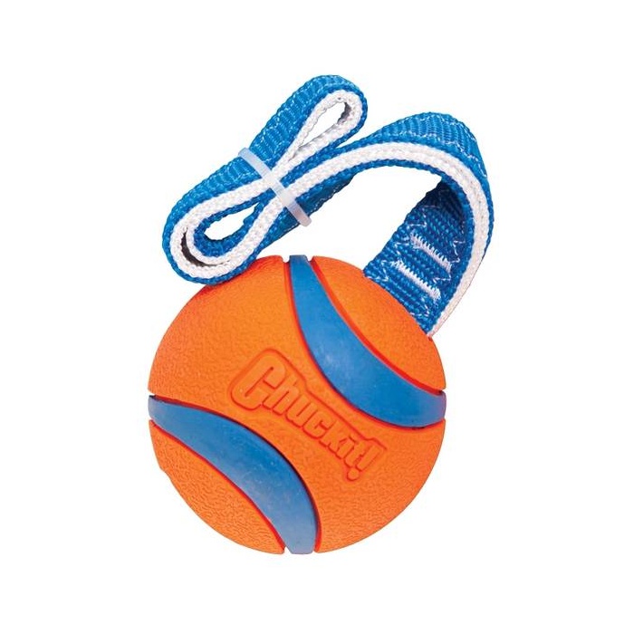 Chuckit! Ultra Tug Dog Toy, L 7cm