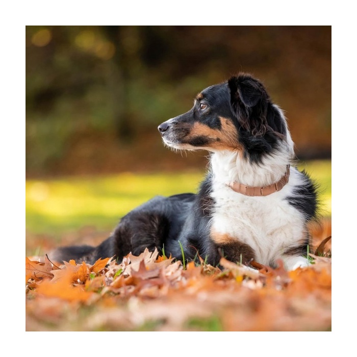 11476-hs-sprenger-necktech-treeningrihm-curogan-lapikrihm.jpg