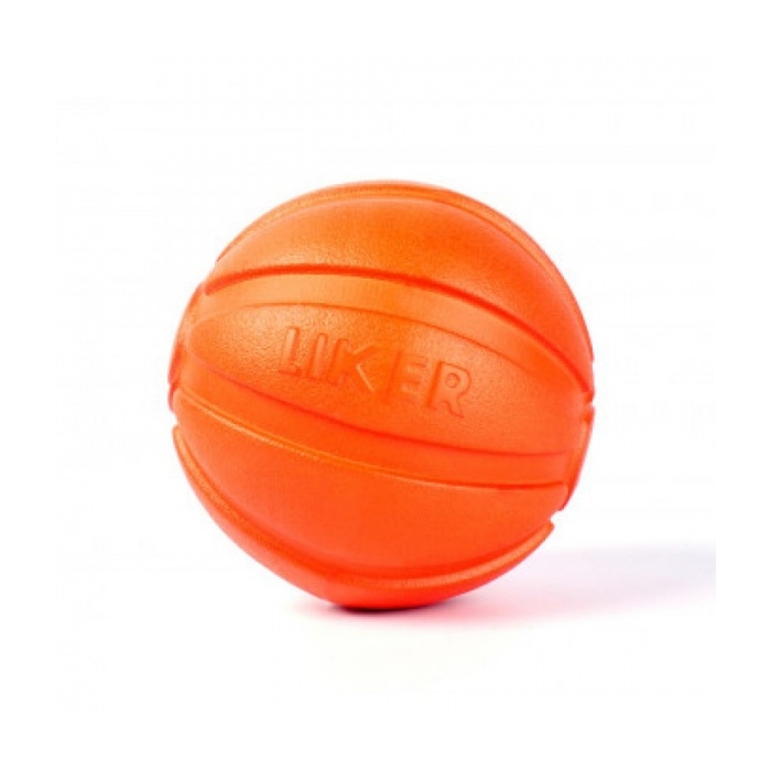 12906-manguasi_koerale_liker_ujuv_kerge_pall_b.jpg