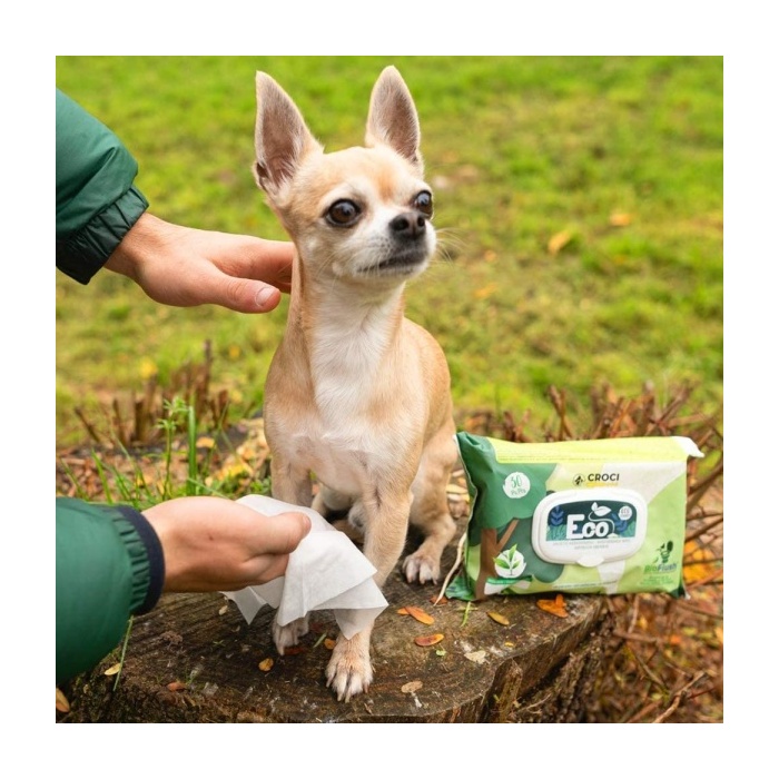 Niisked Salvrätid Eco Tea & Chlorhexidin 30tk