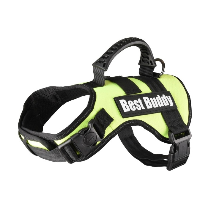 14055-traksid-best-buddy-koerale-roheline.jpg
