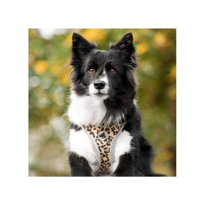 14389-traksid-refelctive-leopard-v2-v2.jpg