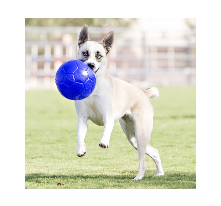 Jolly soccer shop ball 20cm
