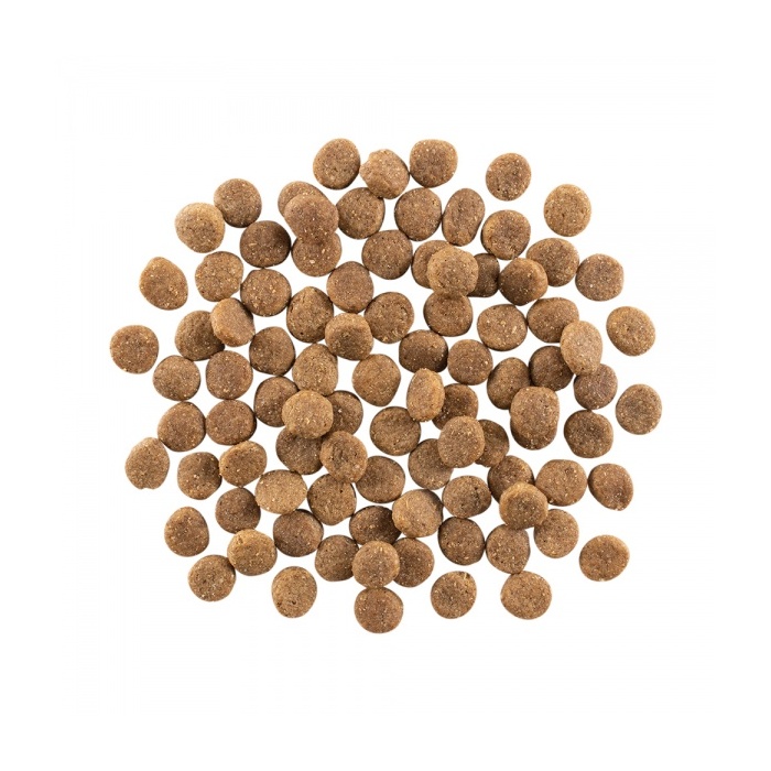 15139-go-solutions-skin-coat-koeratoit-kanalihaga-kuivtoit-b.jpg