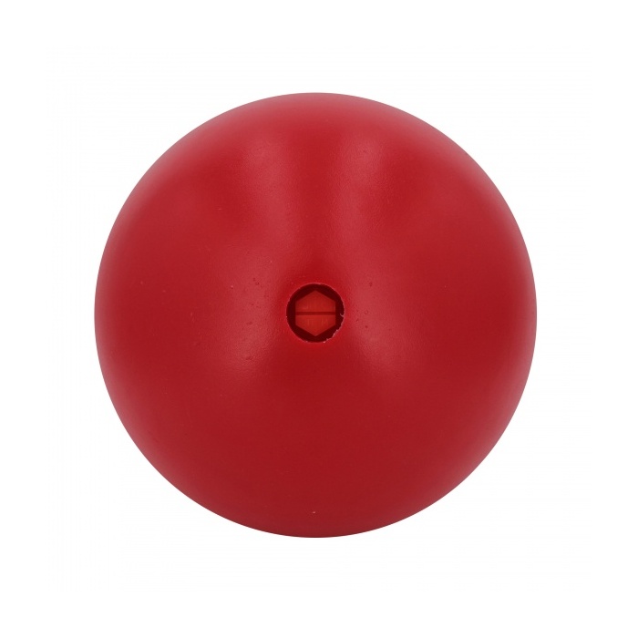 15263-push_n_play_koera_manguasi_punane_a.jpg