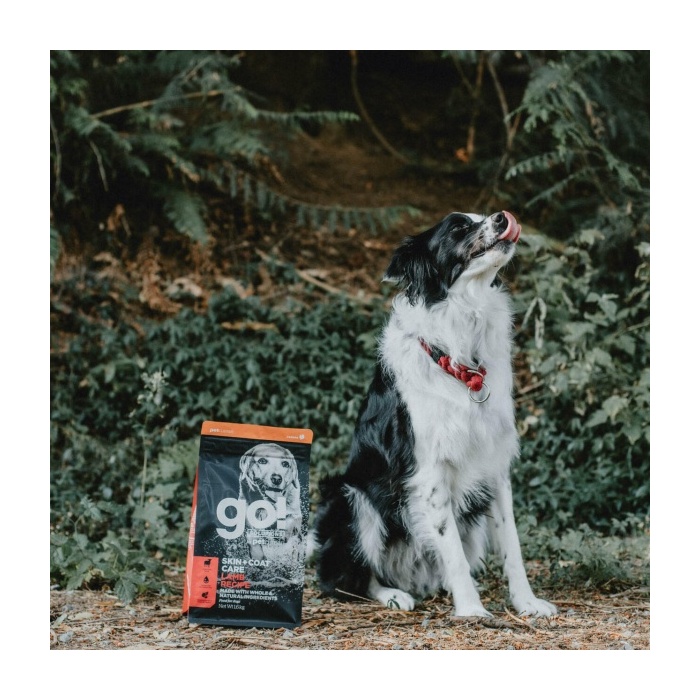 15330-go_skin_coat_kuivtoit_koerale_lambaga_c_v1_v1.jpg 15330-go_skin_coat_kuivtoit_koerale_lambaga_c_v1_v1.jpg