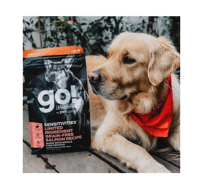 Go Sensitivities Grain Free Salmon Recipe for Dogs Puppies 1