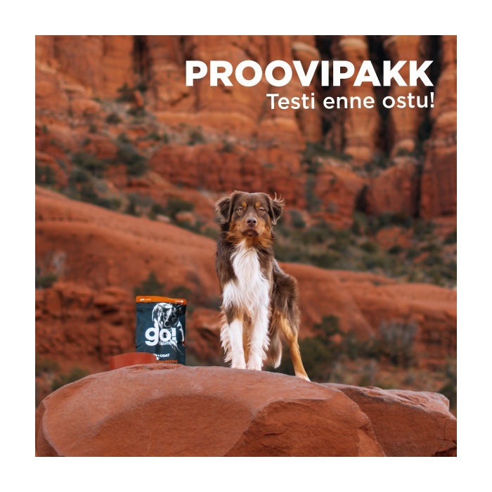 15952-proovipakk-go-koerale.jpg