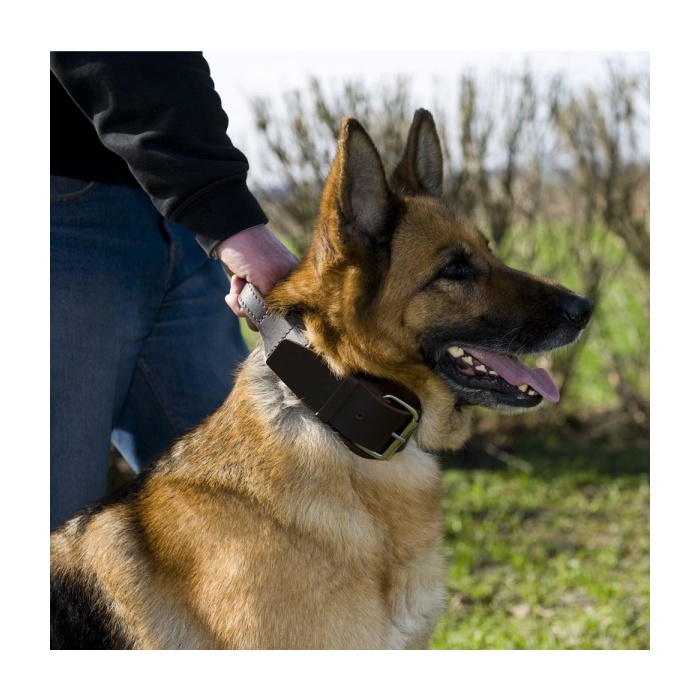 16101-kaepidemega-kaelarihm-varruka-treeninguks-dingo-a.jpg