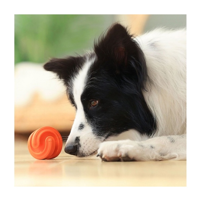 16139-petdreamhouse-chewtastic-geo-hex-toiduga-taidetav-manguasi-koerale-oranz-b.jpg