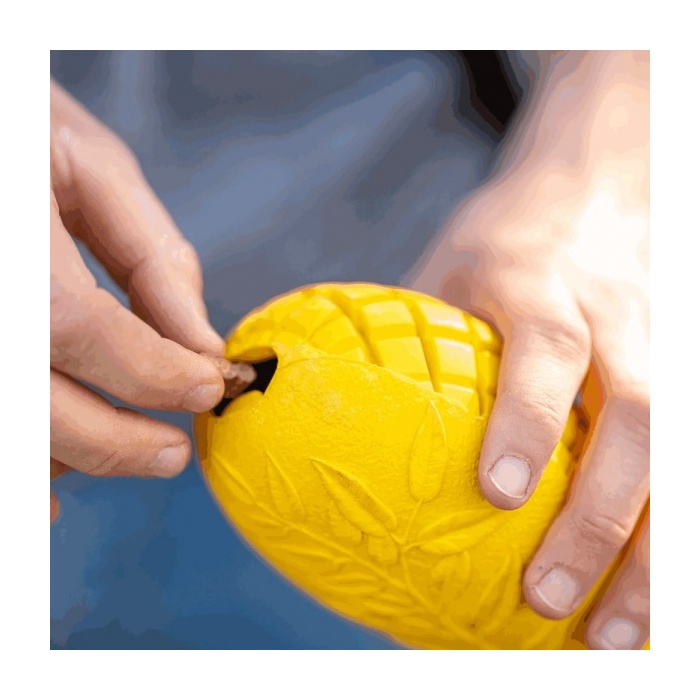 16157-sprenger_koera_manguasi_fruit_challenge_mango_c.jpg