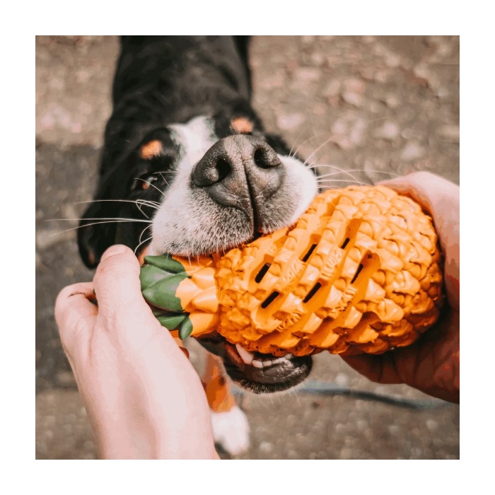 16158-sprenger_koera_manguasi_fruit_challenge_ananass_b.jpg