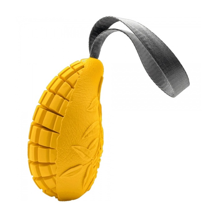 16371-sprenger_koera_manguasi_fruit_challenge_mango_d_v1.jpg