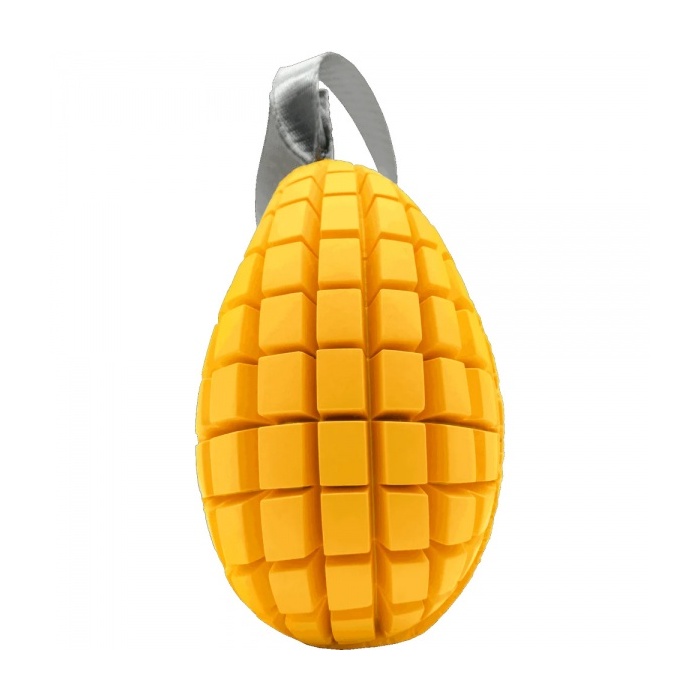 16371-sprenger_koera_manguasi_fruit_challenge_mango_e_v1.jpg