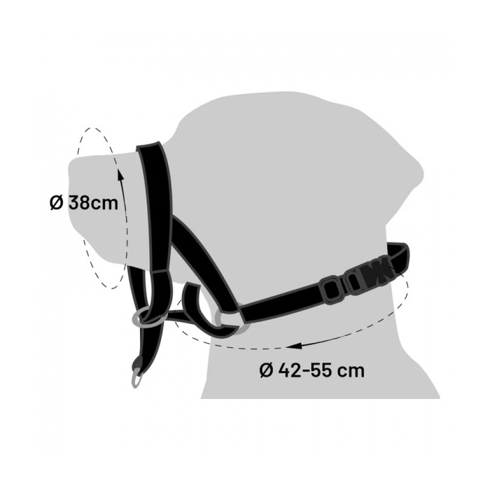 5410-koonurihm-koerale-m.jpg