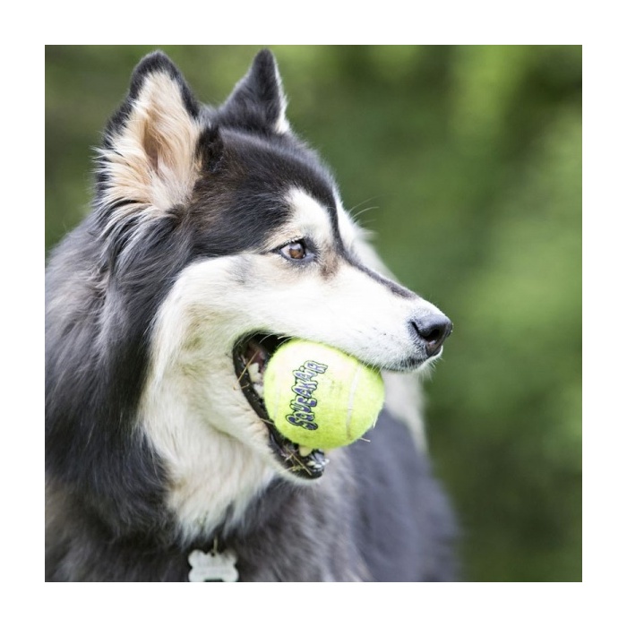 8256-kong-tennispall-xs-manguasi-koerale-1.jpg