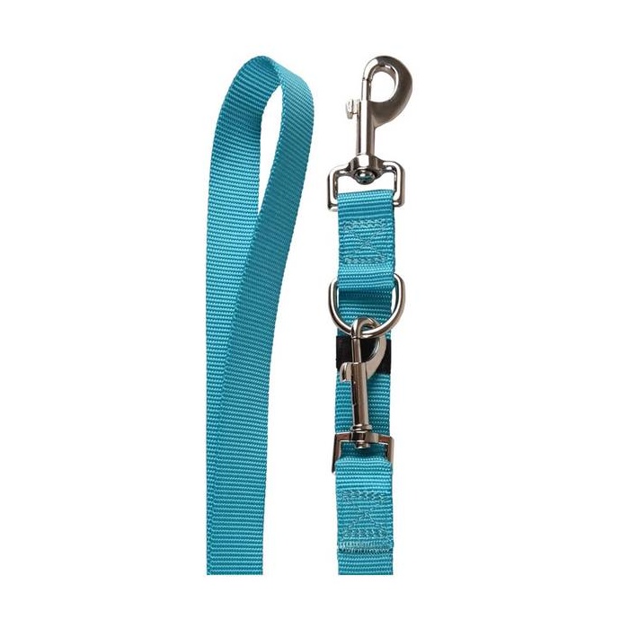 Flamingo Nailonist Treeningrihm Koerale "Ziggi", Türkiissinine 25mm x 250cm