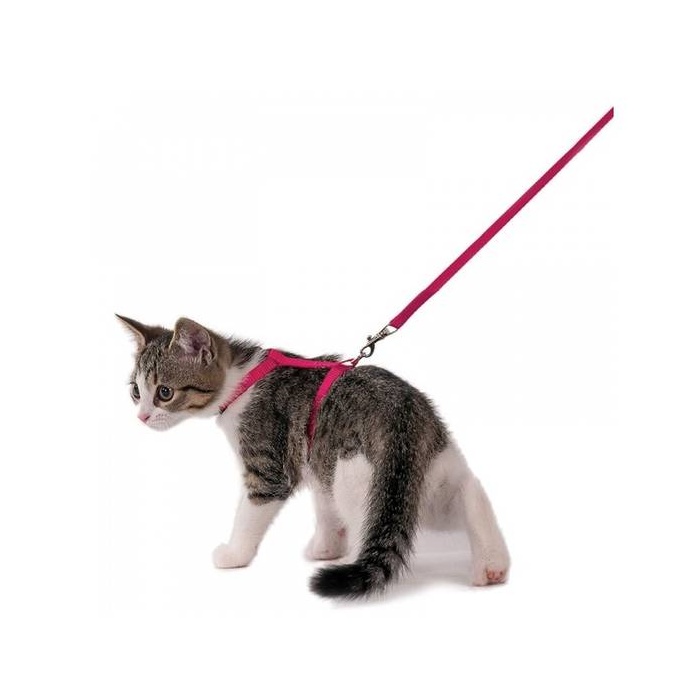 Flamingo Kitten Harness + Leash Cherry Red 120cm