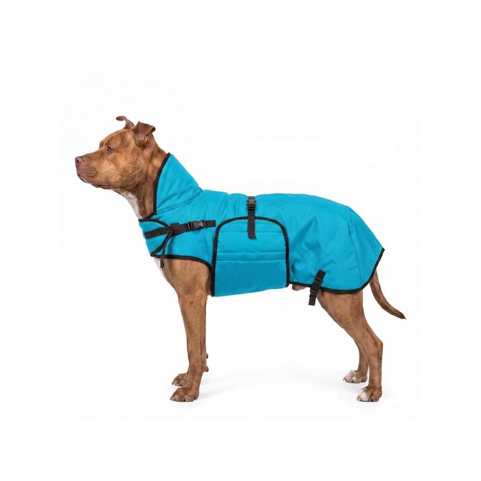 Zero Turqoise Winter Coat for Dogs 50cm