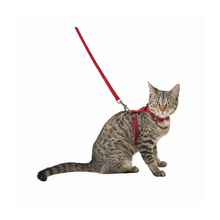 Bobby Cat Harness "Safe", Red 25-38cm