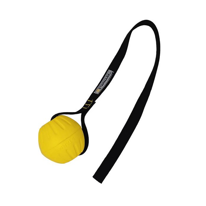 Starmark Mänguasi Koerale GripCord Durafoam Pall M 65mm (Ujub vees)