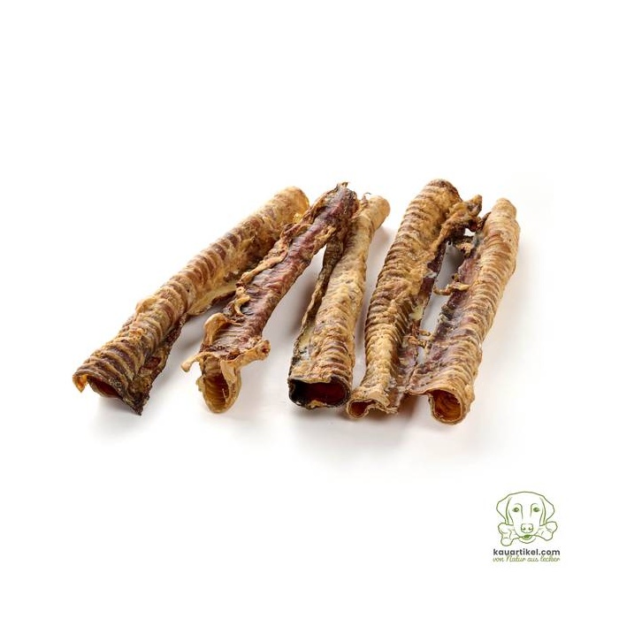 Kauartikel Сушёная говяжья трахея, длинная 1 шт