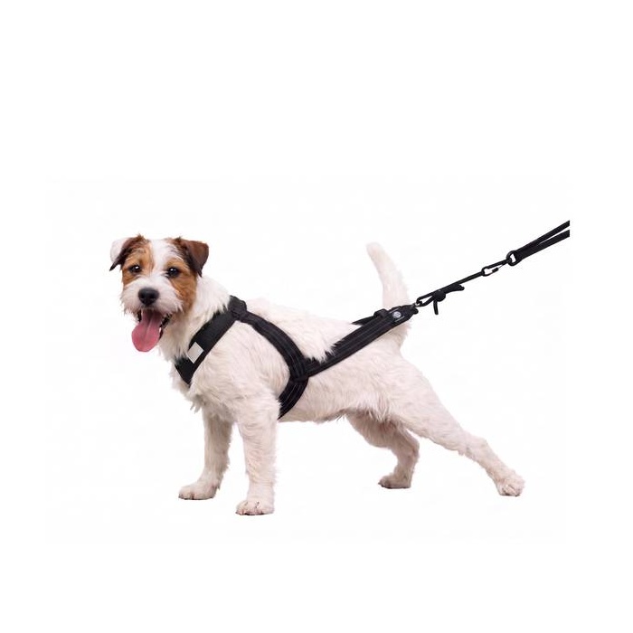 Zero DC Veorakmed Koerale (Canicross / Trekking / Jalgrattavedu) , "Faster" Must M