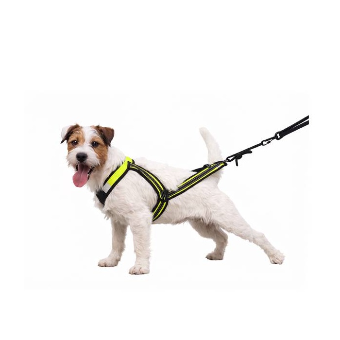 Zero DC Veorakmed Koerale (Canicross / Trekking / Jalgrattavedu) , "Faster" Must & Neoonroheline SL