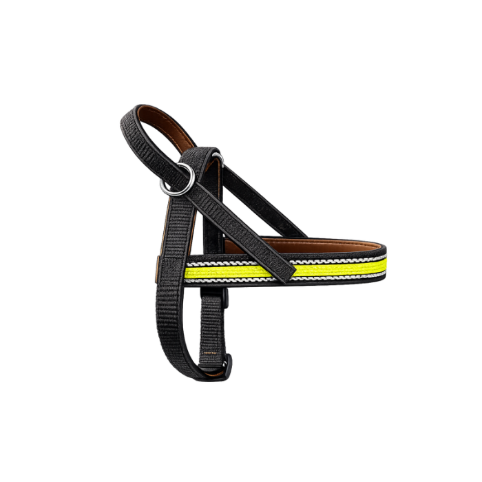 Onega Traksid Koerale Nailonist ja Nahast voodriga 40cm