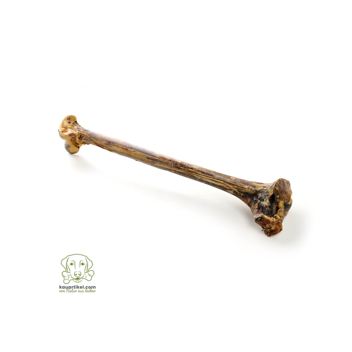 Kauartikel Chewing Treat, Ostrich Bone, 48-55cm