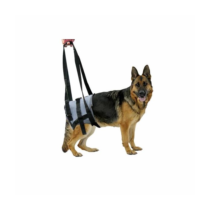 Genia Käeshoitavad Traksid Haigele Koerale L (Tagumised Käpad) 50-63cm / Sinine