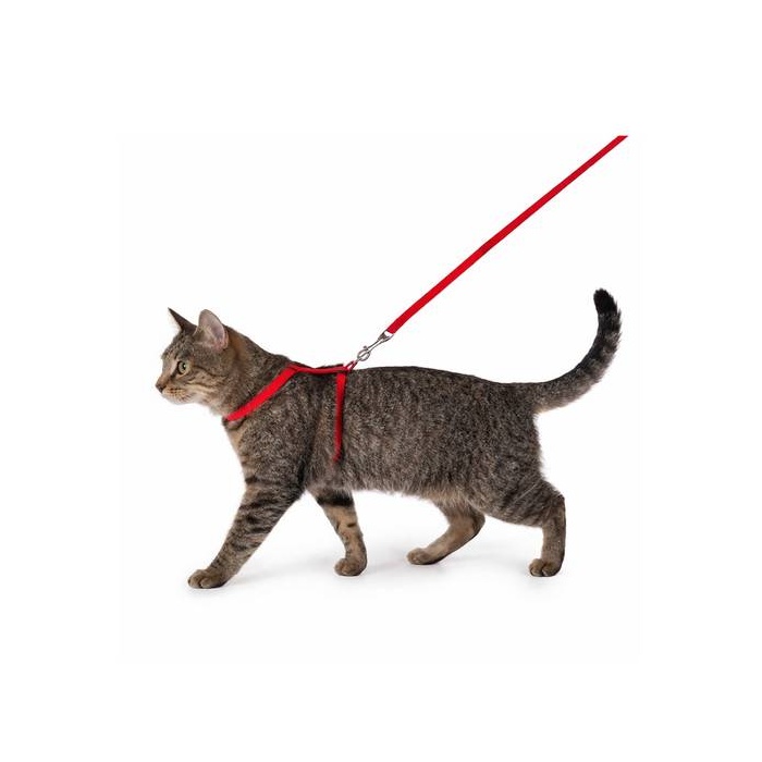 Flamingo Traksid Kassile Punane + Jalutusrihm