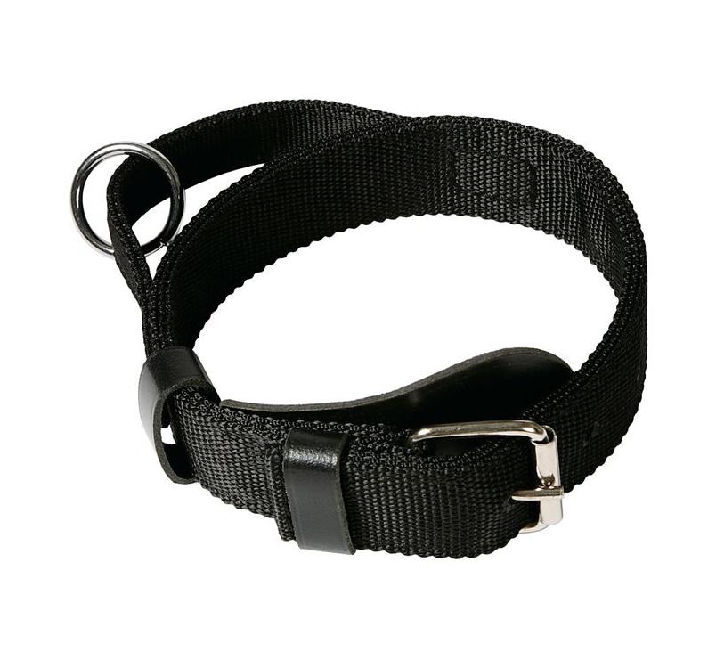 Klin Naylon Collar with Handle 50mm x 65cm