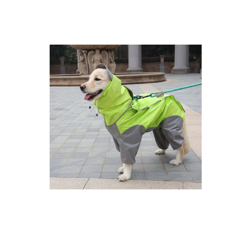 Raincoat for Dogs 38cm