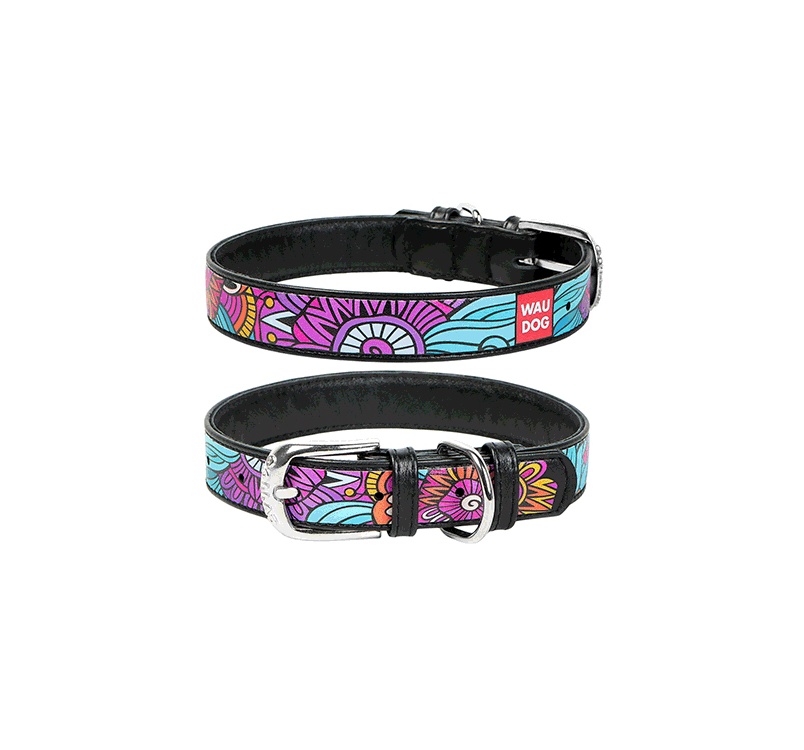 WAUDOG Collar "Summer"  25mm x 36-49cm Black