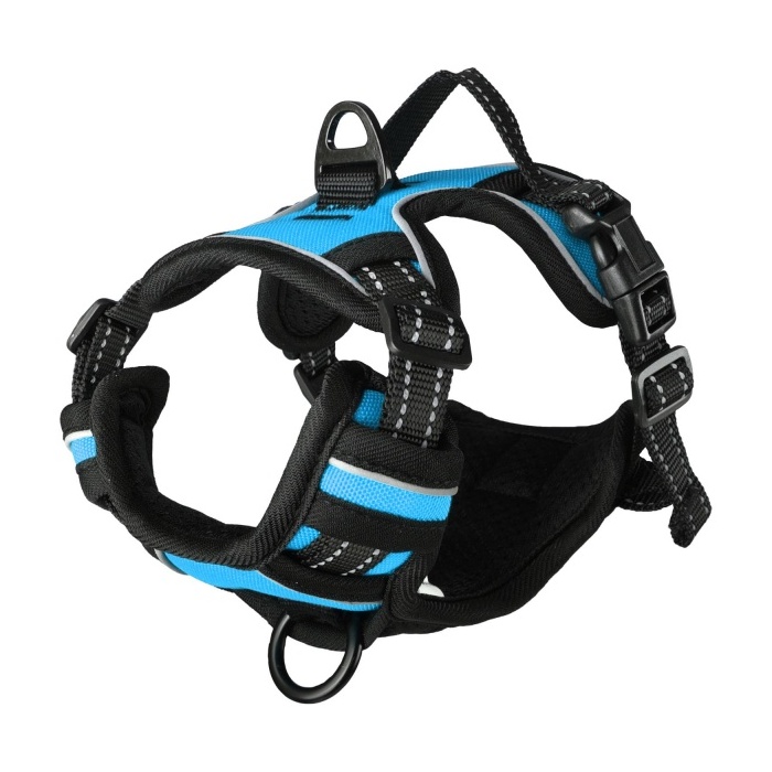 Flamingo Harness Balou Blue S 40-55cm x 20mm